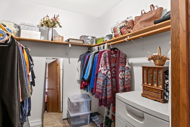 spacious closet featuring carpet