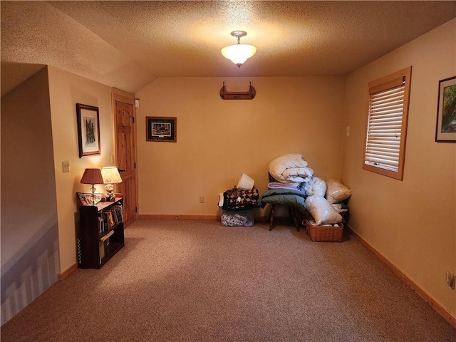 misc room with vaulted ceiling, carpet floors, and a textured ceiling