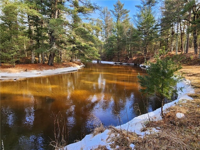 view of water feature