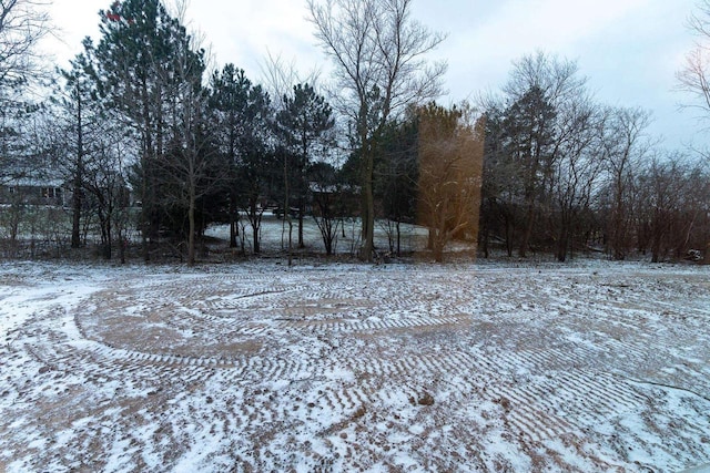 view of snowy yard