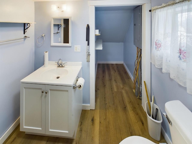 bathroom with vanity, hardwood / wood-style floors, and toilet