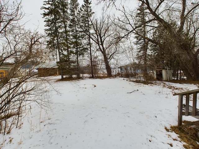 view of yard layered in snow