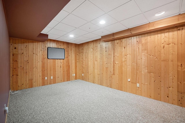 basement featuring carpet floors and wooden walls