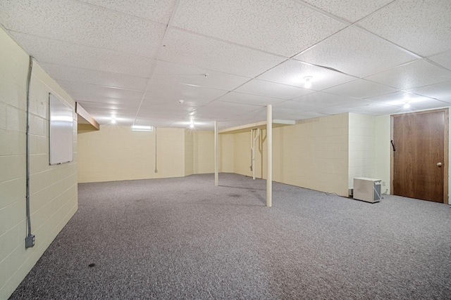 basement featuring carpet floors