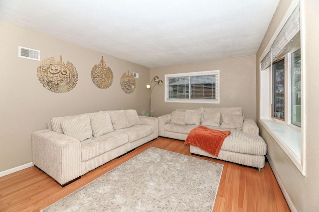 living room with hardwood / wood-style flooring