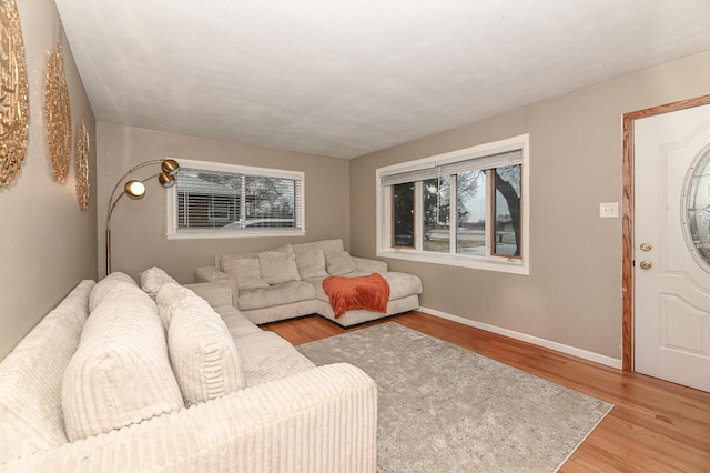 living room with light hardwood / wood-style floors and a healthy amount of sunlight