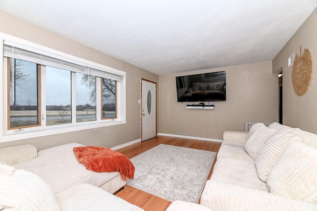 living room with wood-type flooring