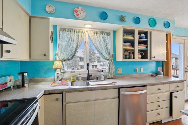 kitchen featuring a healthy amount of sunlight, sink, a textured ceiling, and dishwasher