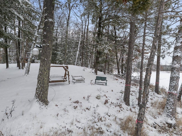 view of snowy yard