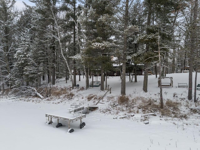 view of yard covered in snow