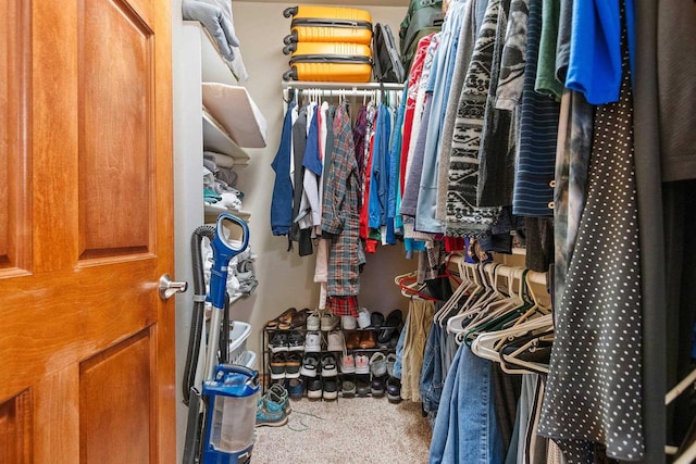 walk in closet featuring carpet flooring