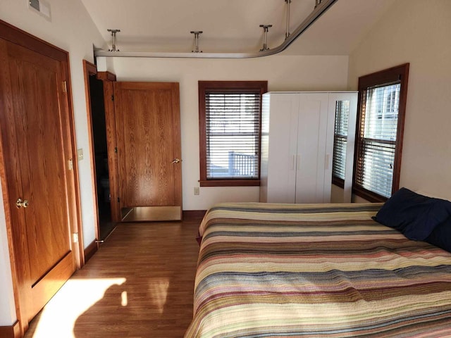 bedroom with multiple windows, vaulted ceiling, and dark wood-type flooring