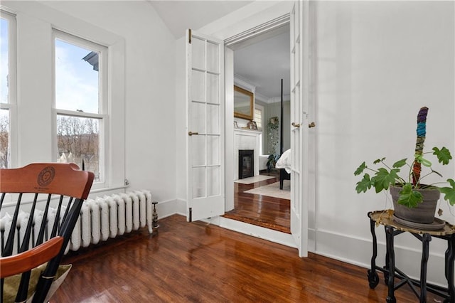 sitting room with radiator heating unit and dark hardwood / wood-style flooring