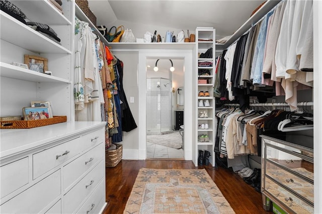 spacious closet with dark wood-type flooring