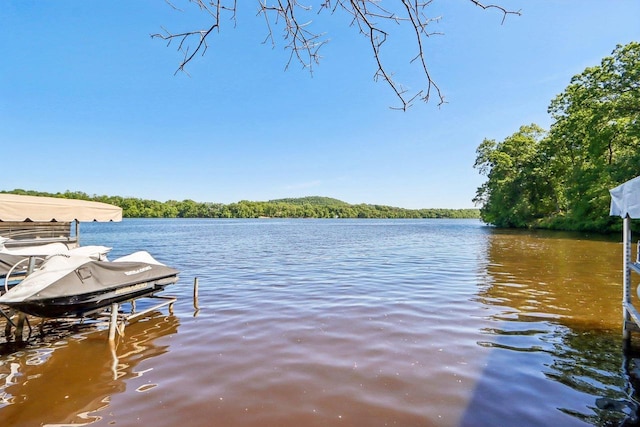 dock area with a water view