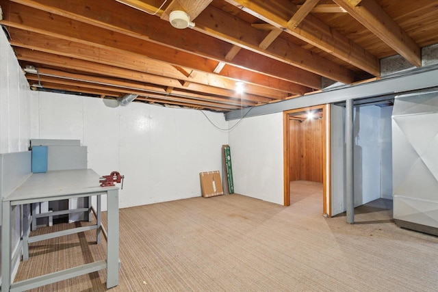 basement with light colored carpet