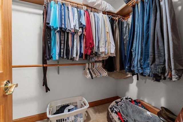 spacious closet featuring carpet