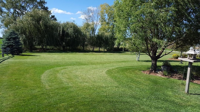 view of property's community featuring a lawn