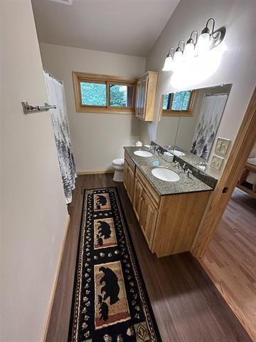 bathroom featuring hardwood / wood-style flooring, vanity, and toilet