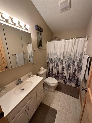 bathroom featuring lofted ceiling, vanity, walk in shower, toilet, and a textured ceiling