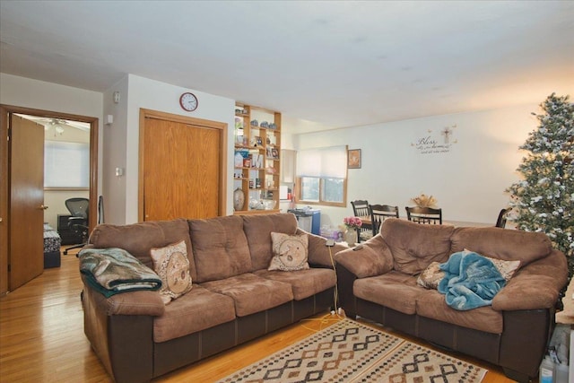 living room with light wood-type flooring