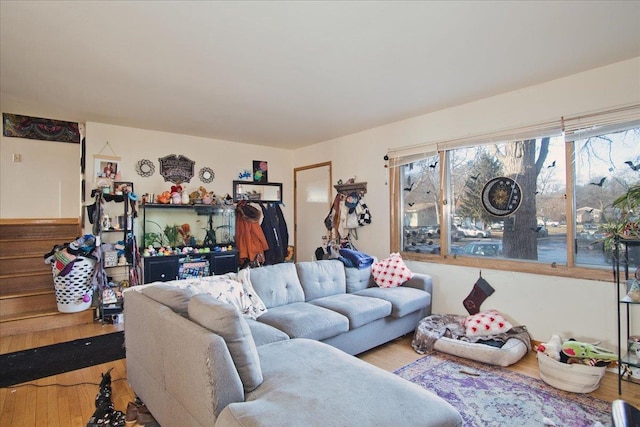 living room featuring hardwood / wood-style floors