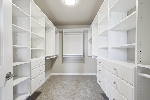 spacious closet featuring carpet floors