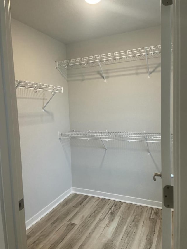 walk in closet featuring hardwood / wood-style floors