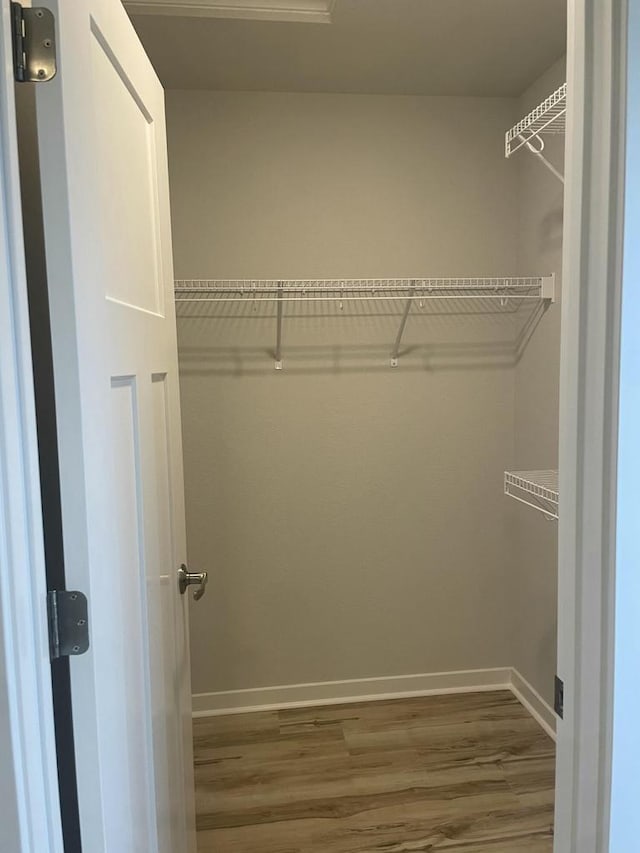 spacious closet with hardwood / wood-style floors