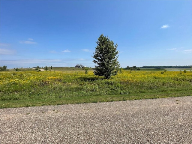 Listing photo 2 for LOT20 940th Ave, Elk Mound WI 54739