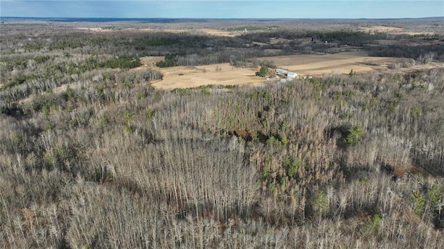 3.91ACRES Gueldner Ln, Exeland, WI 54835