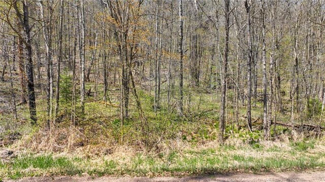 3.91ACRES Gueldner Ln, Exeland, WI 54835