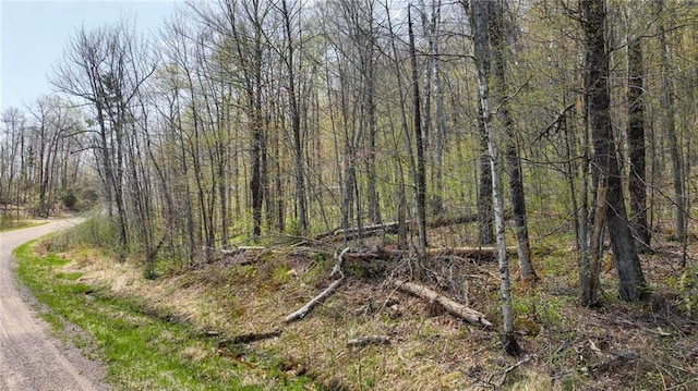 3.91ACRES Gueldner Ln, Exeland, WI 54835