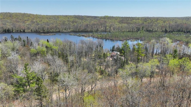 3.91ACRES Gueldner Ln, Exeland, WI 54835