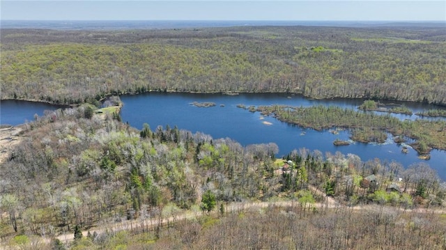3.91ACRES Gueldner Ln, Exeland, WI 54835