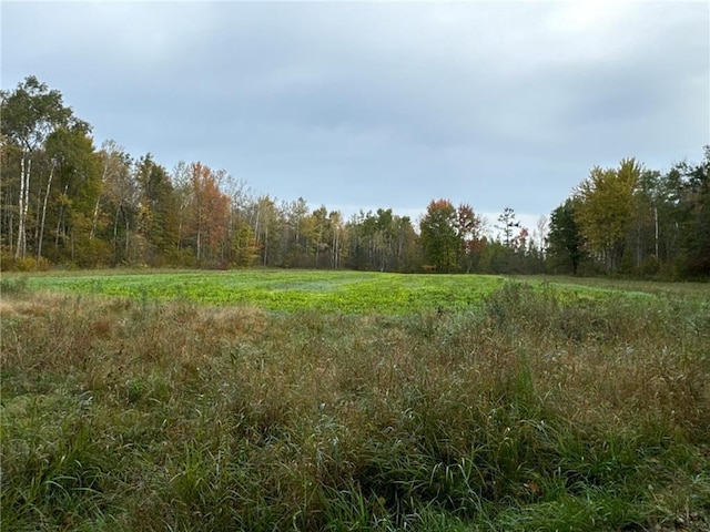 0 W Jones Rd, Bruce WI, 54526 land for sale