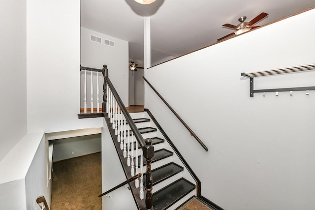 staircase featuring carpet flooring and ceiling fan