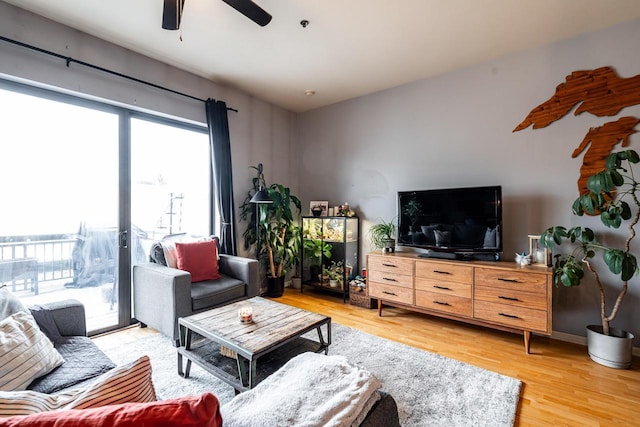 living room with ceiling fan and light hardwood / wood-style flooring