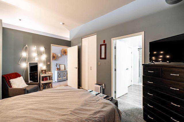 carpeted bedroom featuring a closet