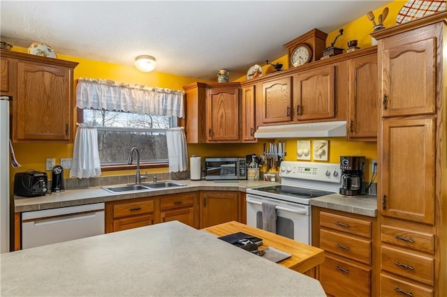 kitchen featuring white electric range oven, sink, and stainless steel dishwasher