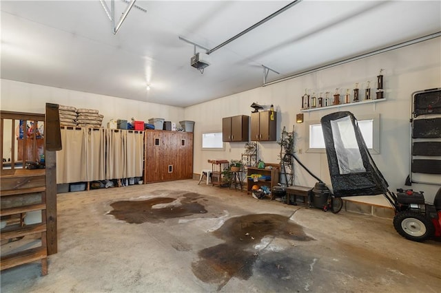 garage with a garage door opener