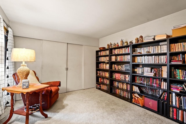 sitting room with carpet floors