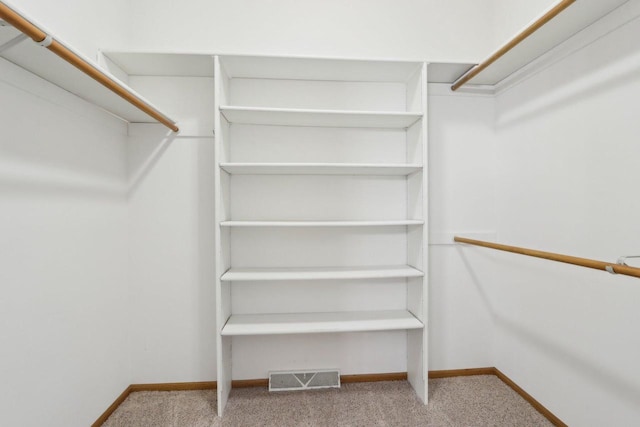 spacious closet featuring light colored carpet