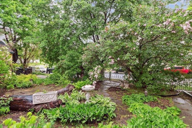 126 E Washington St, Stoughton, WI 53589 - view of yard