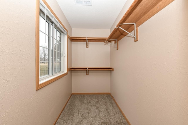 spacious closet with carpet flooring