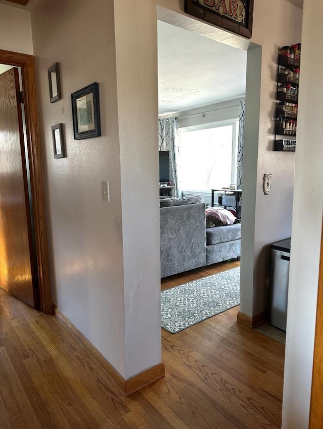 hallway with hardwood / wood-style flooring