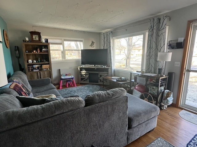 living room featuring plenty of natural light and hardwood / wood-style floors