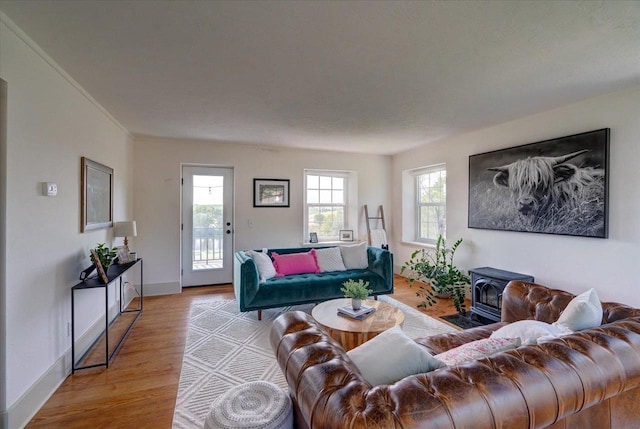 living room featuring ornamental molding, light hardwood / wood-style flooring, and a wood stove