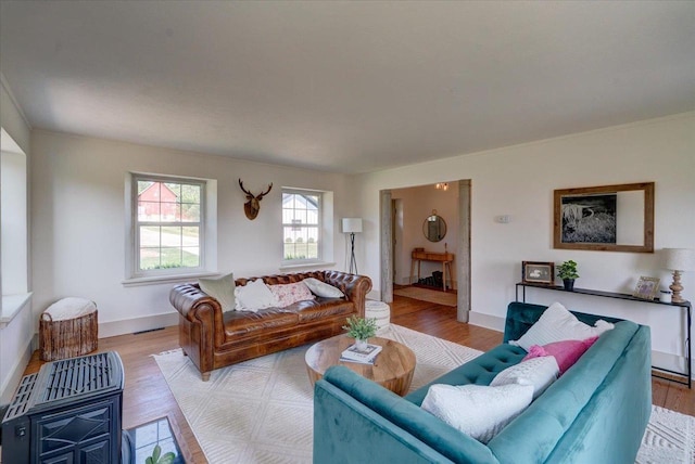 living room featuring light hardwood / wood-style floors