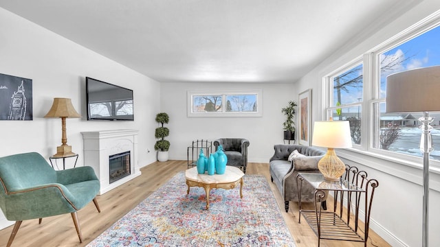 living room with light hardwood / wood-style flooring